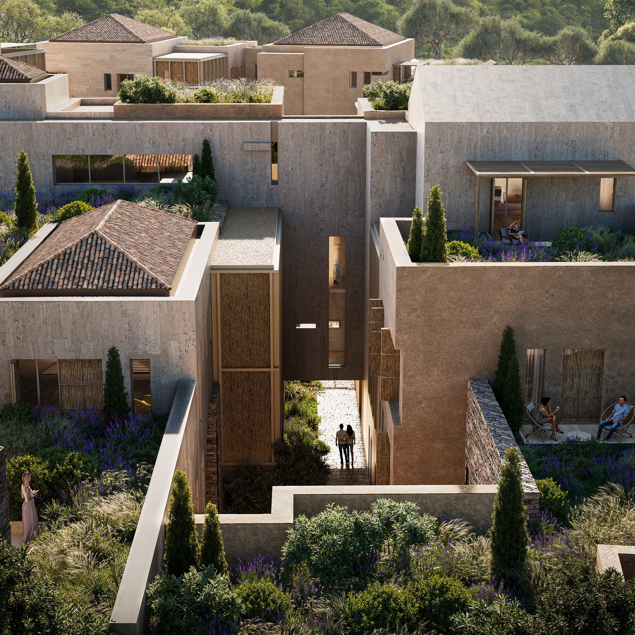 Modern minimalist building courtyard with olive trees.
